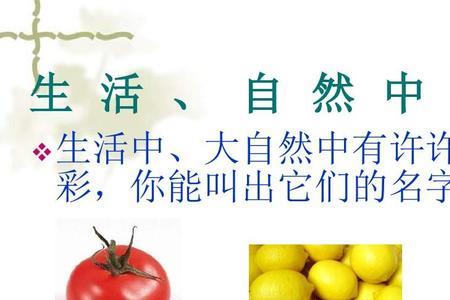 色彩缤纷的意思是什么三年级
