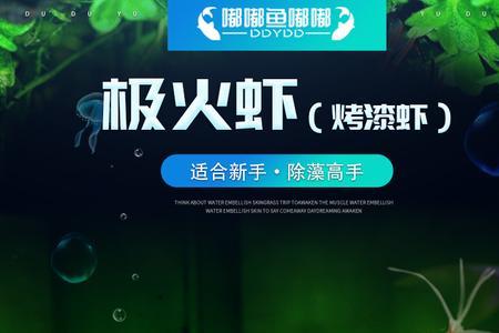 极火虾怕阳光吗