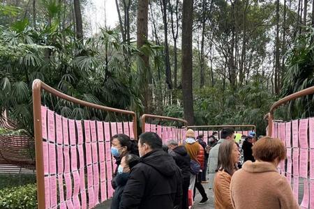 深圳相亲公园有几个