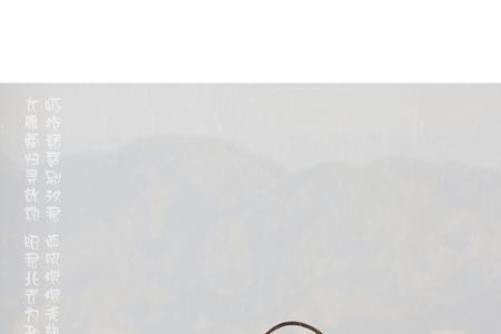 秦腔昭君出塞唱词
