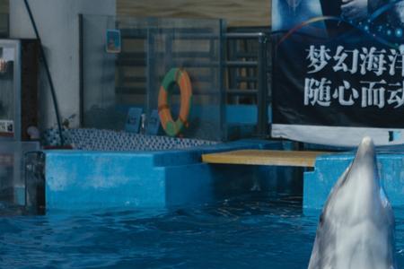 海洋世界海豚公园门票