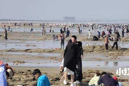 金石滩赶海退潮时间表