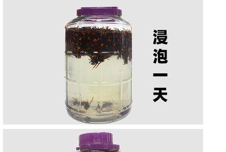 蜂和什么泡酒最好