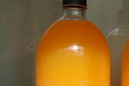 桔子酿酒会好喝吗
