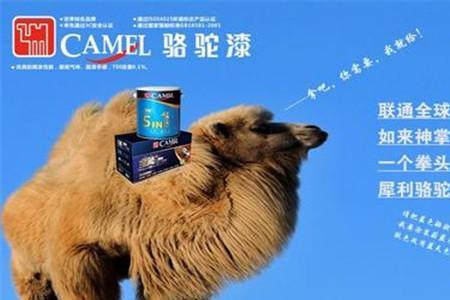 骆驼漆怎么样一般什么价位