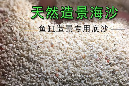 用河沙做鱼缸底砂容易变臭