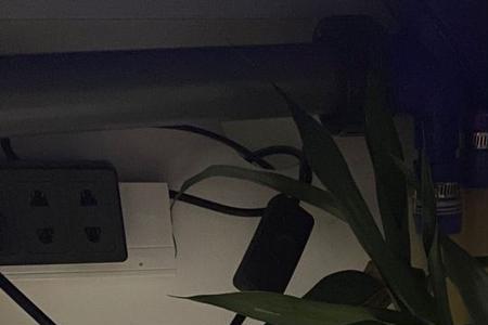 铁树叶放鱼缸里面可以吗