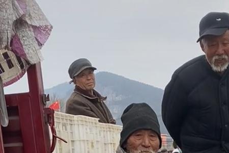 学校门口冬天摆摊卖什么动物