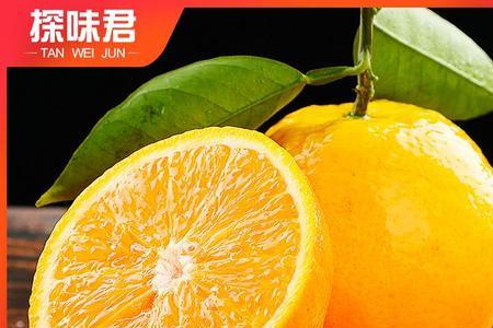 天核夏橙品种