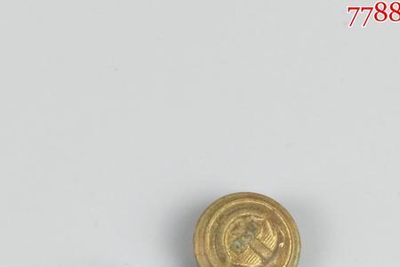 老蔻是什么