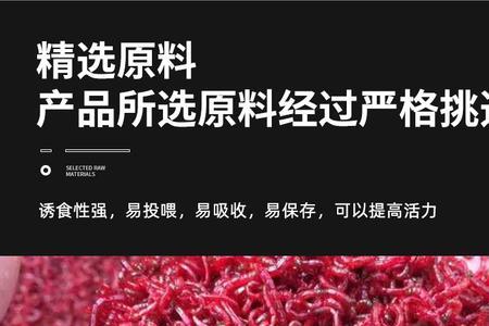 红虫和丰年虾哪个喂鱼好