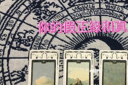 牌面向下是什么意思