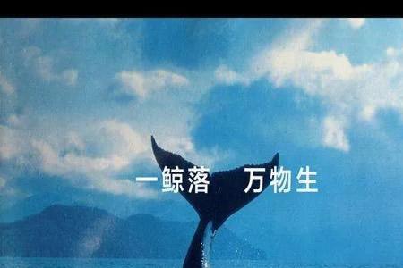 落鲸是什么含义