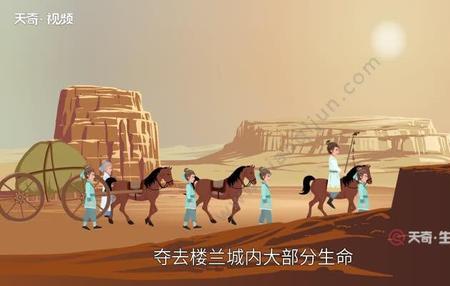 楼兰什么梗