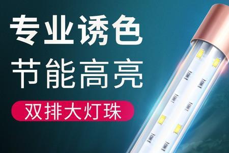 新款马印金蓝白灯怎么样