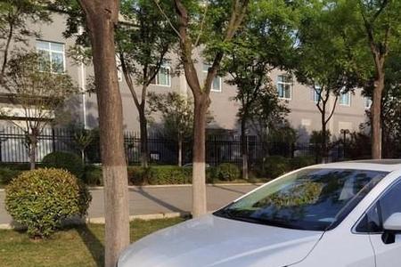 五菱星辰和丰田卡罗拉哪个好