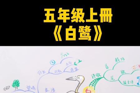 白鹭的课文2到5段意思