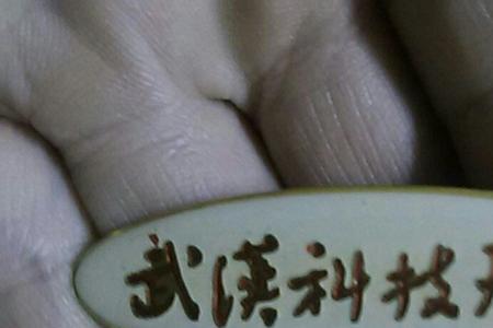 武汉科技大学毕业的都去哪里了