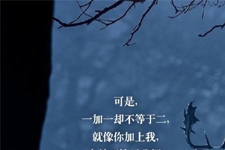 默然相惜寂静欢喜什么意思