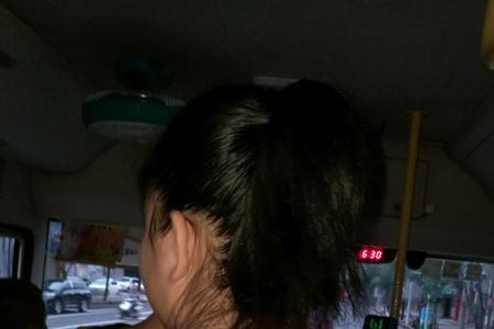 乘公共汽车的小鸟读后感