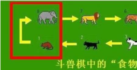 斗兽棋是越级吃还是顺序吃