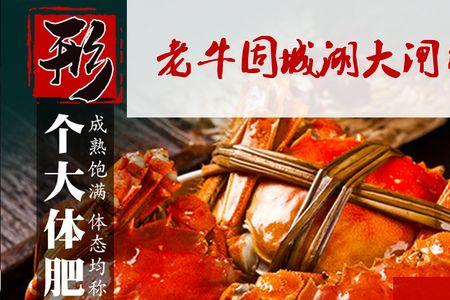 湖蟹颜色深的好还是浅的好
