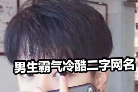 带王的霸气网名男生
