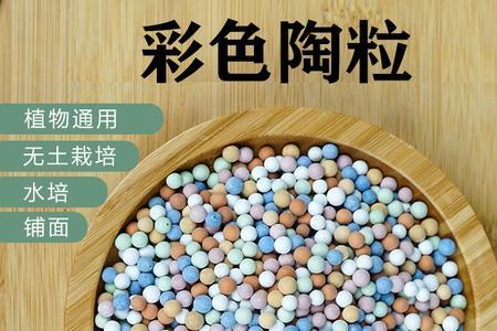 鱼缸铺小石子和陶粒哪个好