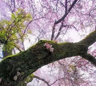 流年无声阳光正好的意思