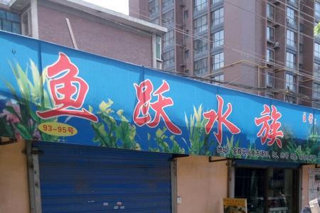 铁西花鸟鱼市场几点关门