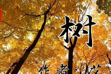 仿艾青树写一首诗
