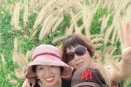 享受平凡什么意思