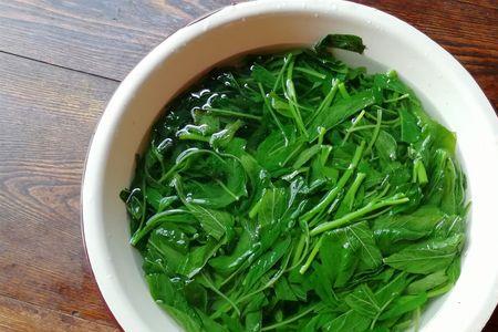 空心菜用水漂可以变嫩点吗