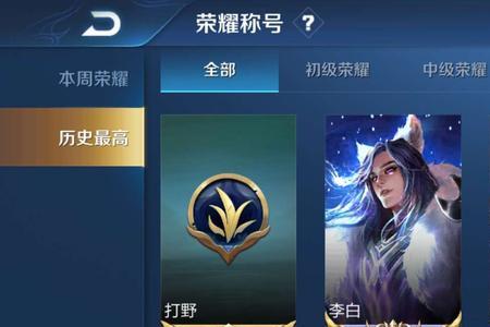王者大金标是什么标