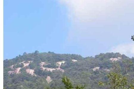 岘山国家森林公园要门票吗