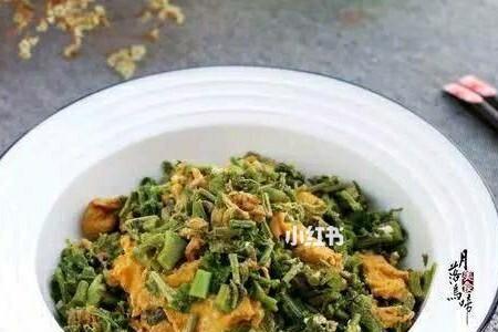 春芽炒蛋做法想念