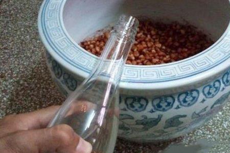 鲤鱼窝料用白酒还是曲酒