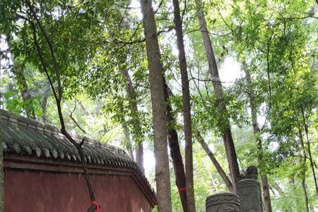 心诚路稳什么意思