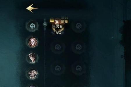 进阶人士是什么