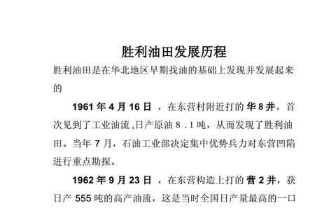山东石油公司发展历程