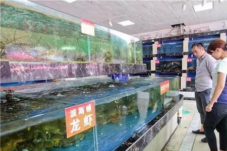 东营海鲜批发市场从哪里进货