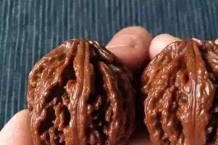 秋子多久能盘红