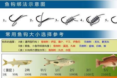 新关东鱼钩5号的多大