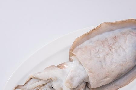 淡水乌贼有什么品种