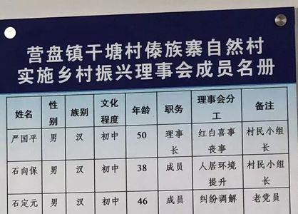 村理事会是什么意思