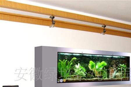 80鱼缸用多大的壁挂