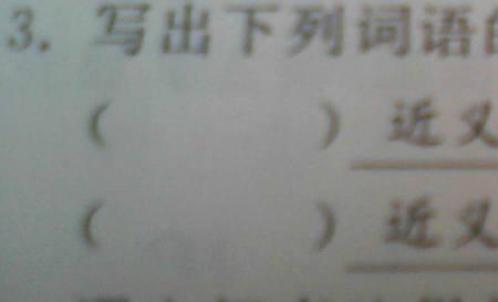 逃命的反义词