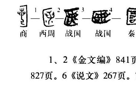 匿的读音是什么
