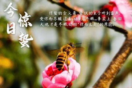 春季惊蛰乔迁搬家的诗句
