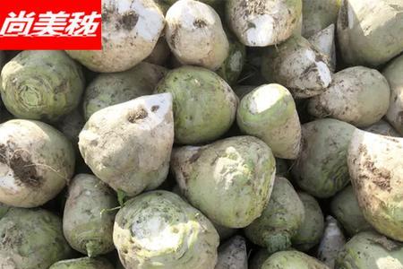 芥菜疙瘩缨子一起腌的腌制方法